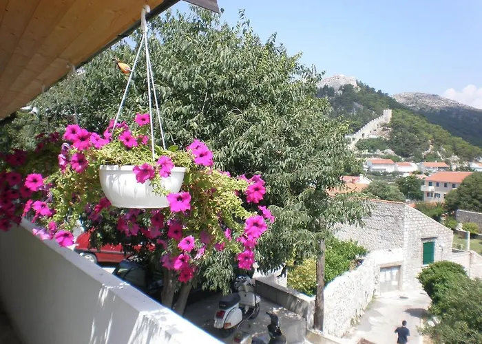 巴尔科特公寓 公寓